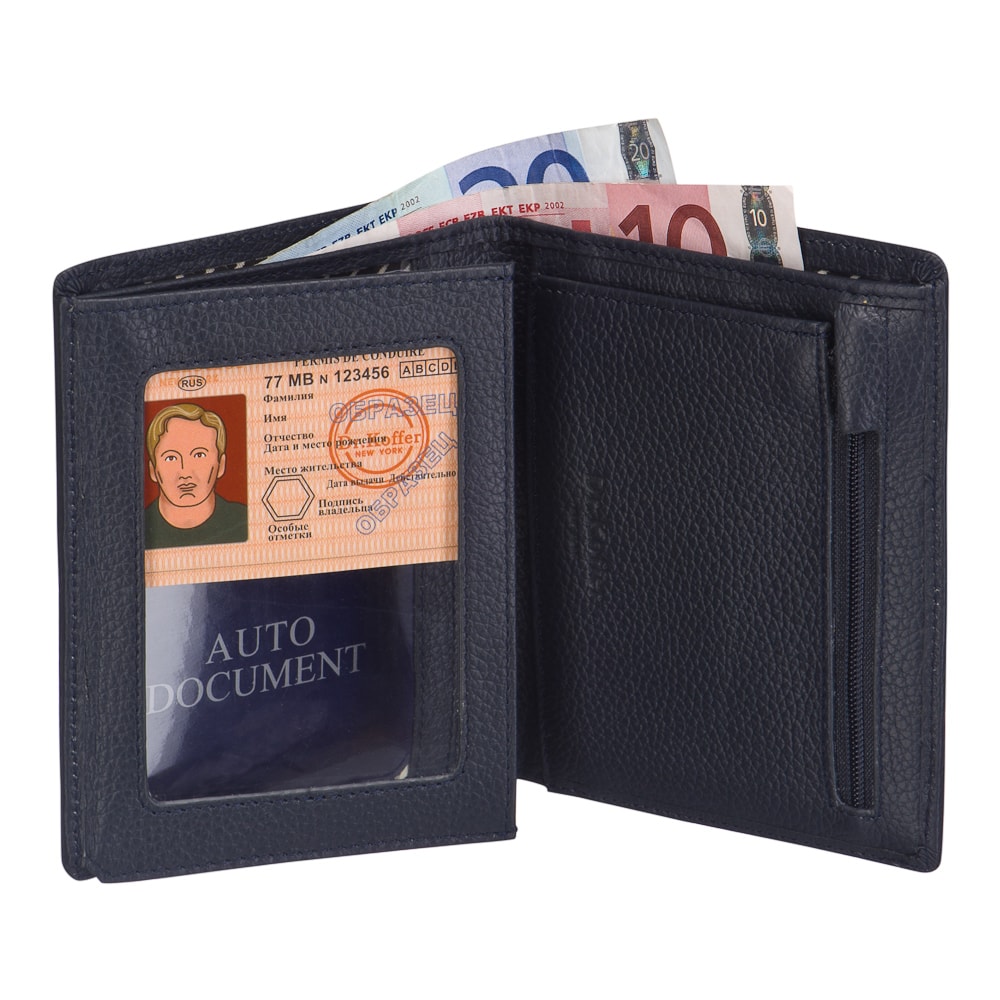 x510230-220-60 портмоне X510230-220-60 в интернет магазине