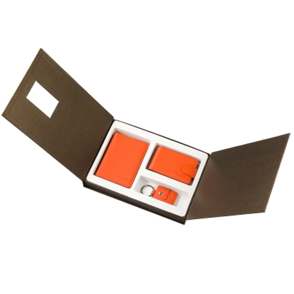 Др.Коффер X510362-170-63 автодок+визитница+брелок