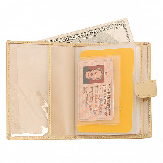 Обложка-портмоне для паспорта и автодокументов "Змеиная кожа" Dr.Koffer X510137-103-09